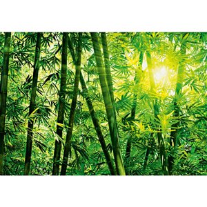 Wizard & Genius Bamboo Forest Mural 12-ft x 8-ft 4-in