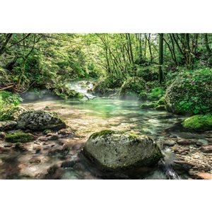 Komar Riverbed Mural 12-ft 1-in x 8-ft 3-in