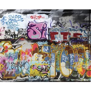 ohpopsi Graffiti Mural 9-ft 10-in x 7-ft 10-in