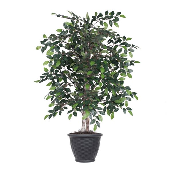 Vickerman 4-ft Artificial Mini Ficus Bush in Gray Round Plastic Container