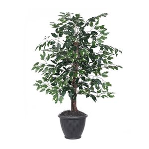 Vickerman 4-ft Artificial Variegated Ficus Bush in Gray Round Plastic Container