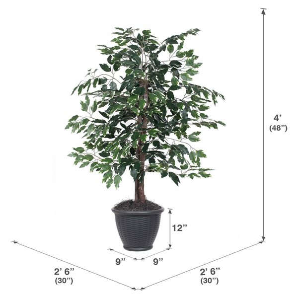 Vickerman Ft Artificial Variegated Ficus Bush In Gray Round Plastic Container Tbu Rg Rona