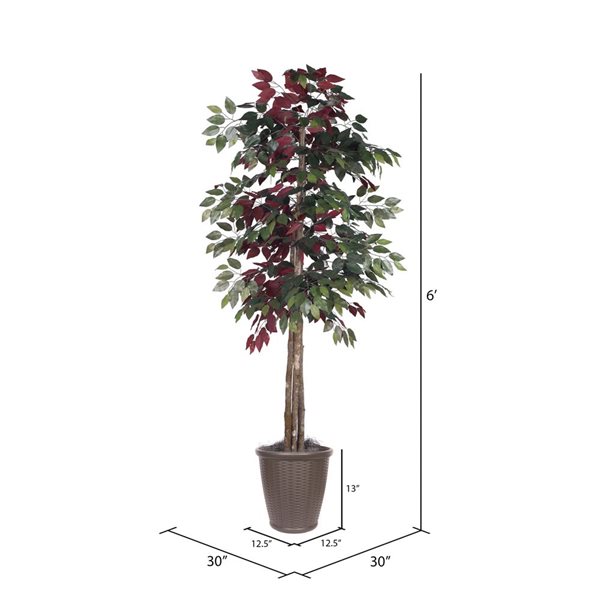 Vickerman 6-ft Artificial Capensia Deluxe Tree in Brown Round Plastic Container