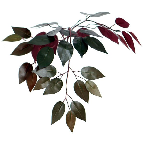 Vickerman 6-ft Artificial Capensia Deluxe Tree in Brown Round Plastic Container