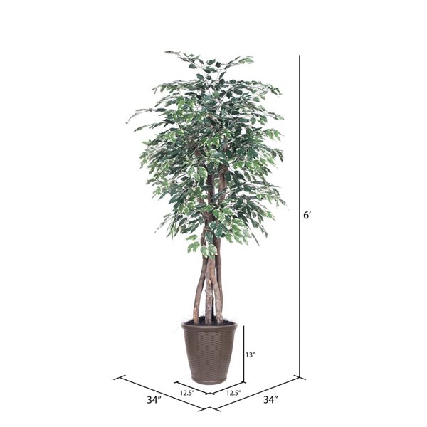 Vickerman 6-ft Artificial Variegated Ficus Executive in Brown Round Plastic Container