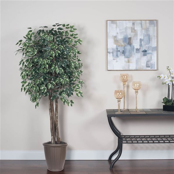 Vickerman 6-ft Artificial Variegated Ficus Executive in Brown Round Plastic Container