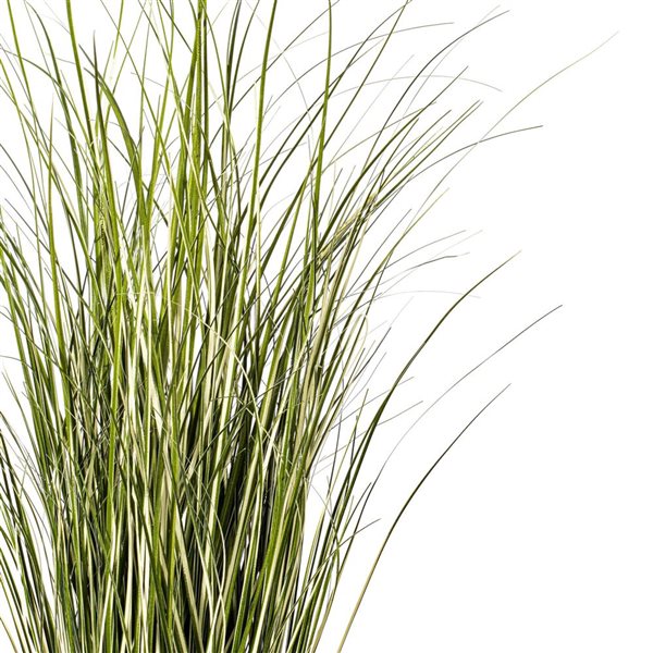 Vickerman 37-in Artificial Potted Native Green Grass