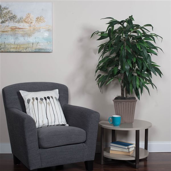 Vickerman 4-ft Artificial Mango Bush in Brown Square Plastic Container