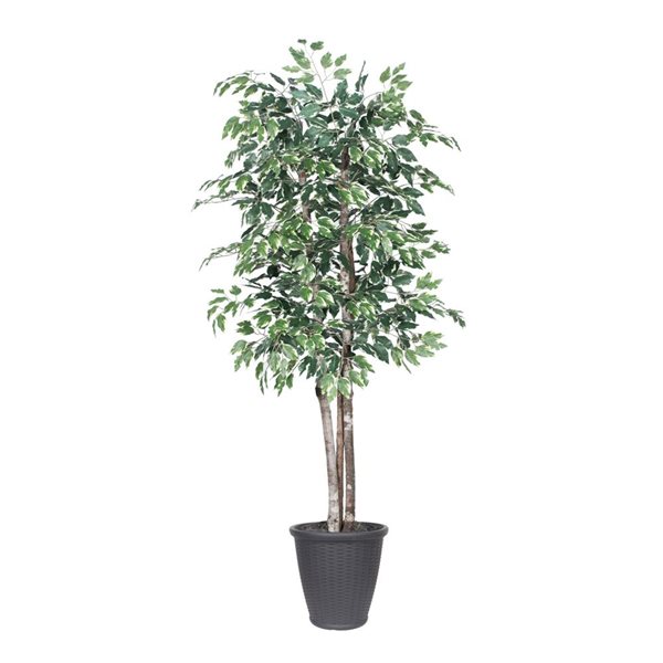 Vickerman 6-ft Artificial Variegated Ficus Deluxe Tree in Gray Round Plastic Container