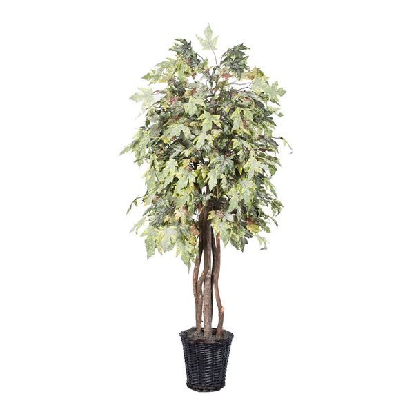 Vickerman 6-ft Artificial Frosted Maple Executive in Rattan Basket