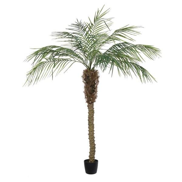 Vickerman 6ft Artificial Potted Pheonix Palm Tree TB180372 RONA