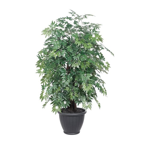 Vickerman 4-ft Artificial Ming Aralia Extra Full Bush with Gray Round Plastic Container