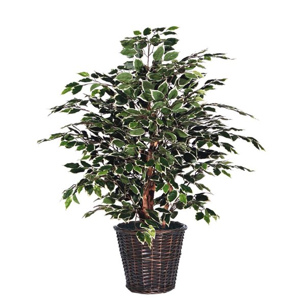 Albero Di Natale Artificiale Vickerman 6 Piedi Acero Ghiacciato, Con Cestino In Vimini Incluso, Fogliame Lussureggiante E Realistico - 2