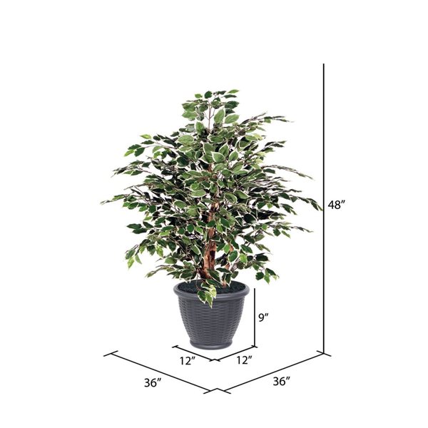 Vickerman 4-ft Artificial Variegated Ficus Extra Full Bush with Gray Round Plastic Container