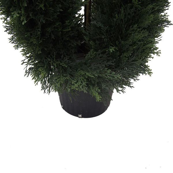 Vickerman 5-ft Artificial Green Cedar Double Spiral Topiary with Black Plastic Pot