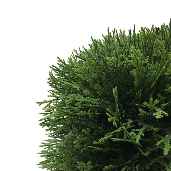 Vickerman Artificial 24-in Green Cedar Hedge