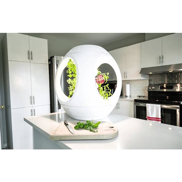 Plantaform Rejuvenate White Smart Indoor Garden