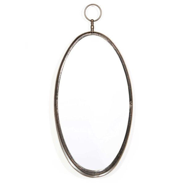 Gild Design House Macklin 17 x 38-in Antique Bronze Metal Oval Framed Wall-Mounted Mirror