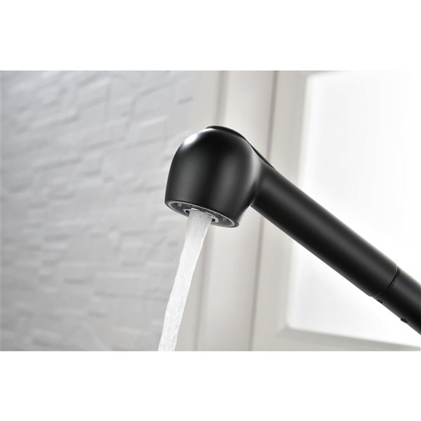 Flynama Matte Black Single Handle Kitchen Faucet with Pull-Down Sprayer