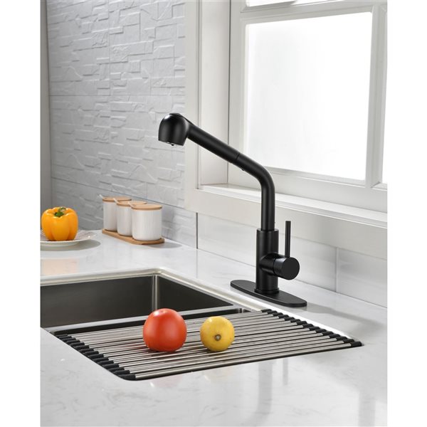 Flynama Matte Black Single Handle Kitchen Faucet with Pull-Down Sprayer