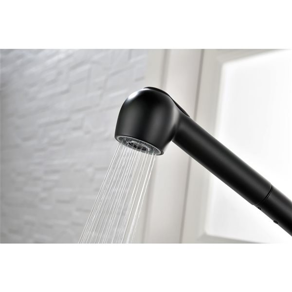 Flynama Matte Black Single Handle Kitchen Faucet with Pull-Down Sprayer