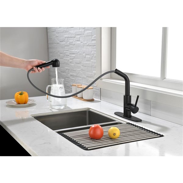 Flynama Matte Black Single Handle Kitchen Faucet with Pull-Down Sprayer