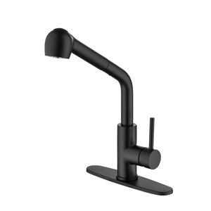 Flynama Matte Black Single Handle Kitchen Faucet with Pull-Down Sprayer