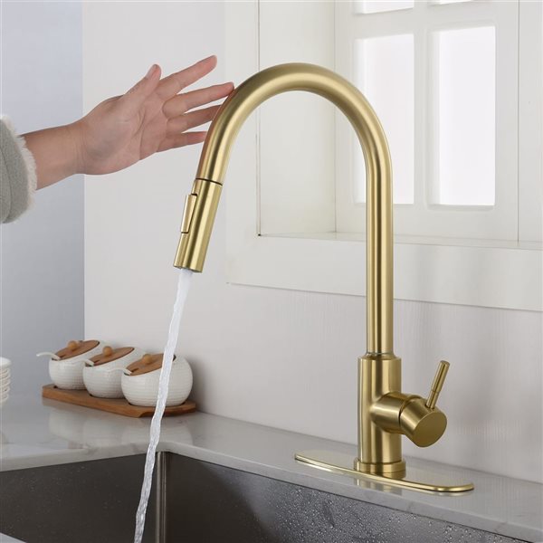 Flynama Brushed Gold Single Handle Kitchen Faucet with Pull Down Sprayer and Touch Sensor