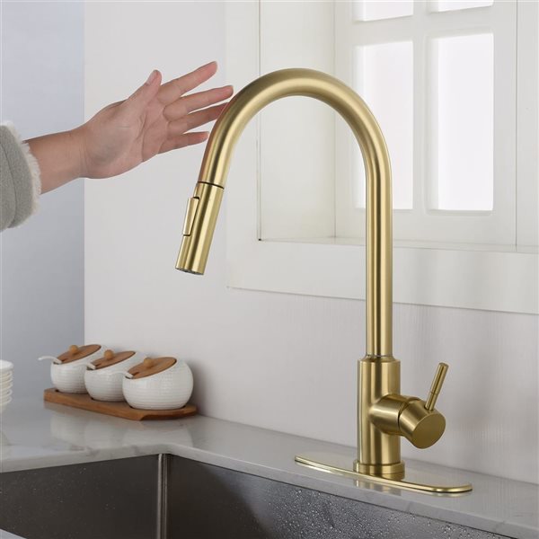 Flynama Brushed Gold Single Handle Kitchen Faucet with Pull Down Sprayer and Touch Sensor