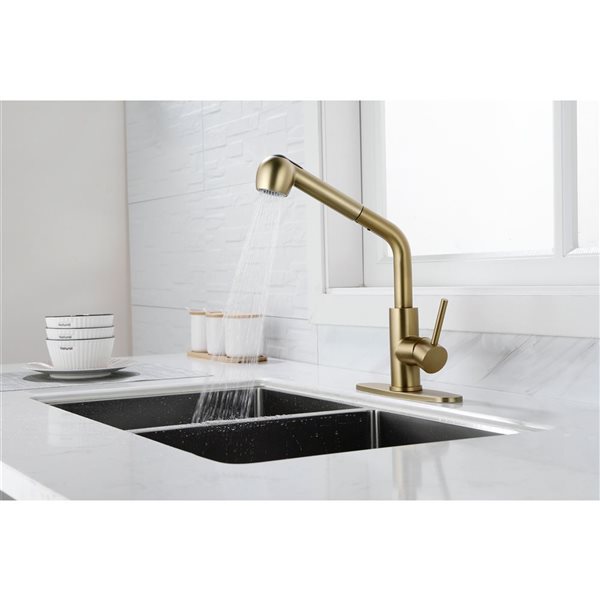 Flynama Brushed Gold Single Handle Kitchen Faucet with Pull-Down Sprayer