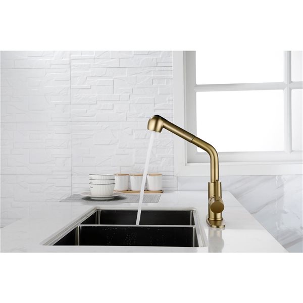 Flynama Brushed Gold Single Handle Kitchen Faucet with Pull-Down Sprayer