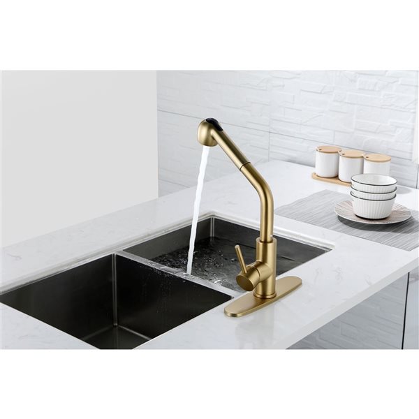 Flynama Brushed Gold Single Handle Kitchen Faucet with Pull-Down Sprayer