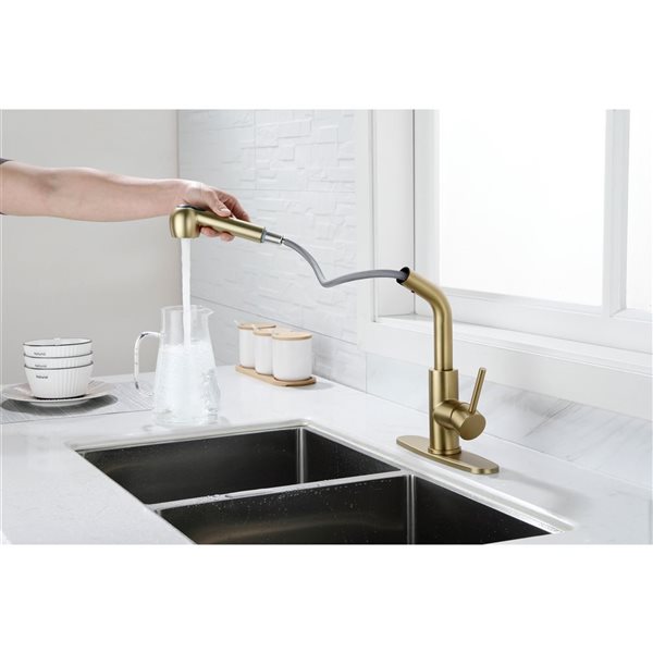 Flynama Brushed Gold Single Handle Kitchen Faucet with Pull-Down Sprayer