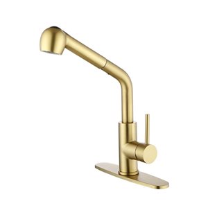 Flynama Brushed Gold Single Handle Kitchen Faucet with Pull-Down Sprayer