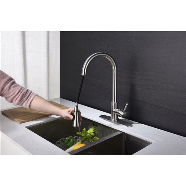 Flynama Brushed Nickel Single Handle Spot Resistant Kitchen Faucet with Pull Down Sprayer