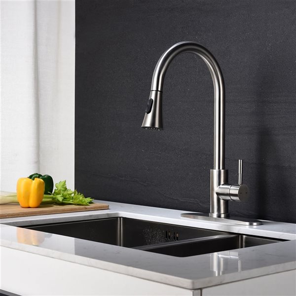 Flynama Brushed Nickel Single Handle Spot Resistant Kitchen Faucet with Pull Down Sprayer