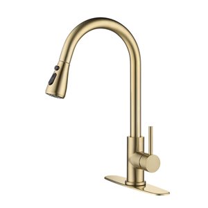 Flynama Brushed Gold Single Handle Spot Resistant Kitchen Faucet with Pull Down Sprayer