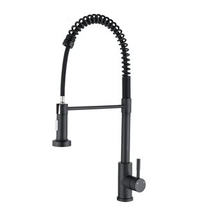 Flynama Matte Black Single-Handle Kitchen Faucet with Pull Out Sprayer