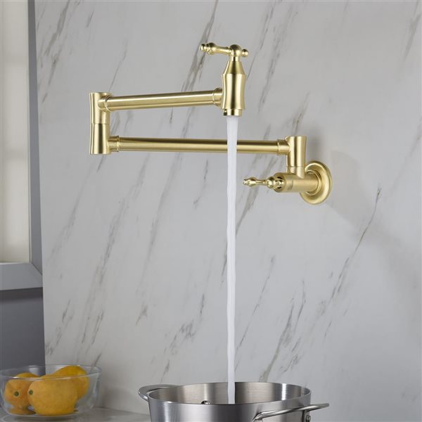 Flynama 2-Handle Brushed Gold Wall-Mount Pot Filler Kitchen Faucet