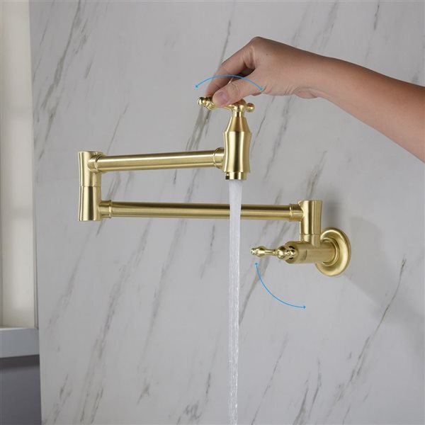 Flynama 2-Handle Brushed Gold Wall-Mount Pot Filler Kitchen Faucet