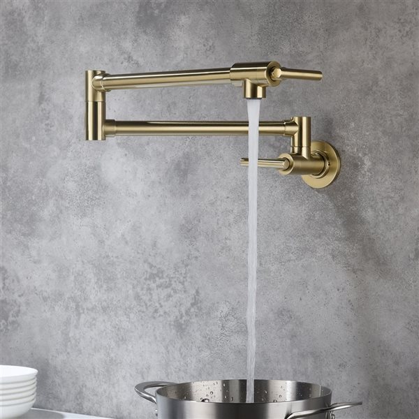 Flynama 2-Handle Brushed Gold Wall-Mount Pot Filler Kitchen Faucet with Extendable Spout