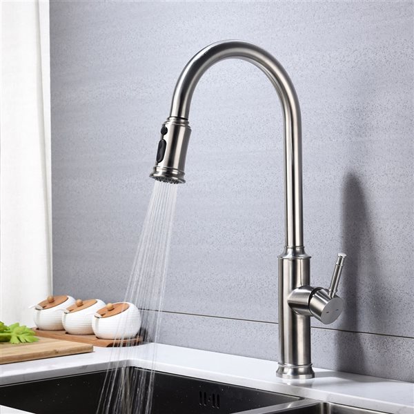 Flynama 1-Handle Brushed Nickel Kitchen Faucet with Pull Down Sprayer