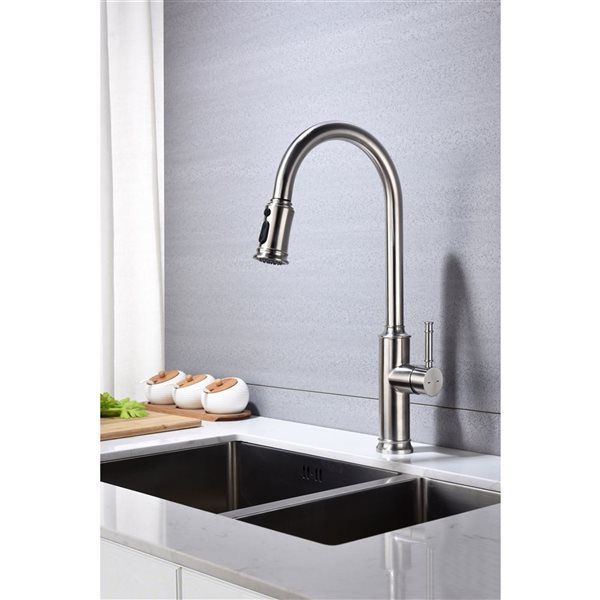 Flynama 1-Handle Brushed Nickel Kitchen Faucet with Pull Down Sprayer