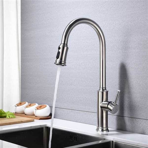 Flynama 1-Handle Brushed Nickel Kitchen Faucet with Pull Down Sprayer