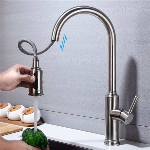 Flynama 1-Handle Brushed Nickel Kitchen Faucet with Pull Down Sprayer