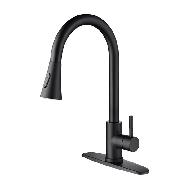 Flynama 1- Matte Black Spot Resistant Kitchen Faucet with Pull Down Sprayer