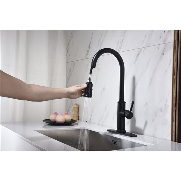 Flynama 1-Handle Matte Black Kitchen Faucet with Pull Down Sprayer