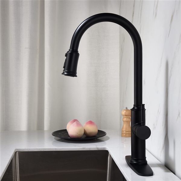 Flynama 1-Handle Matte Black Kitchen Faucet with Pull Down Sprayer