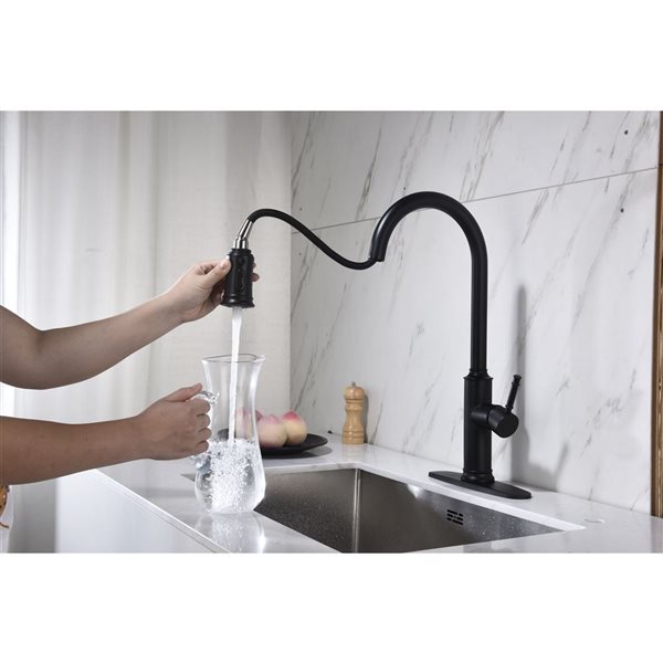 Flynama 1-Handle Matte Black Kitchen Faucet with Pull Down Sprayer