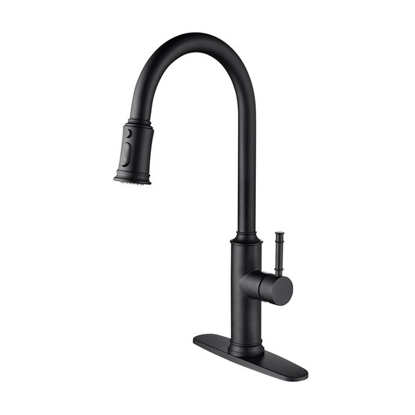 Flynama 1-Handle Matte Black Kitchen Faucet with Pull Down Sprayer